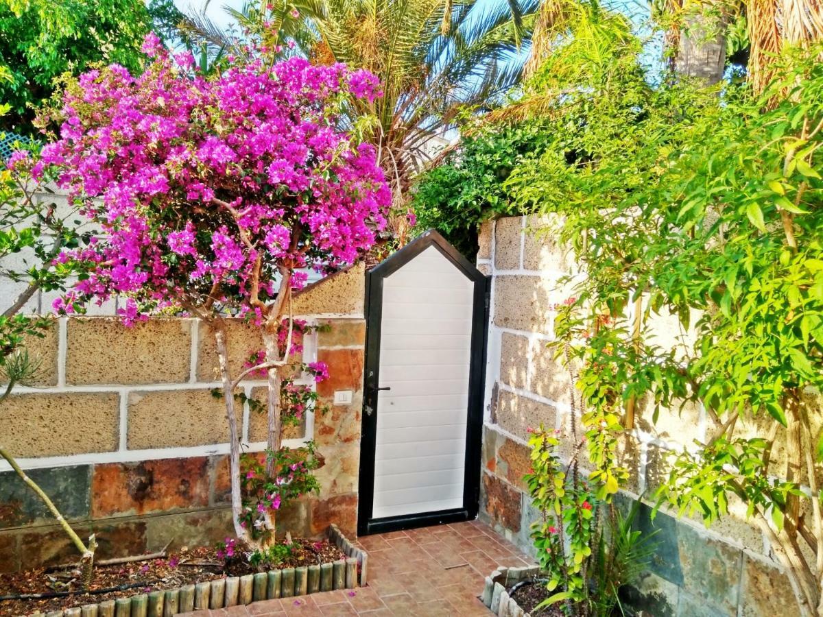 Apartament Casa Sarita - Farbenfrohes *